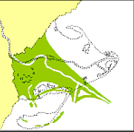 El Delta es comença a formar.