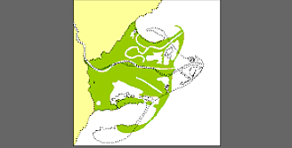 Una nova desembocadura