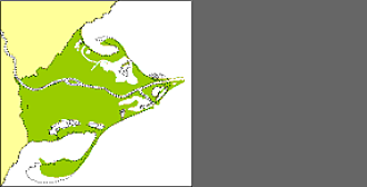 Comença a semblar-se a l'actual Delta...