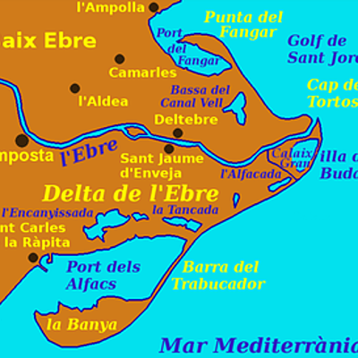 Timeline: FORMACIÓ: