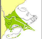 INICI DE LA FORMACIÓ