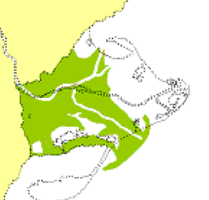 CRESCUDA CAP AL NORD-EST