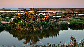 Timeline: Formació del delta de l'Ebre