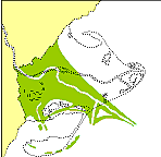 El naixement del delta de l'Ebre