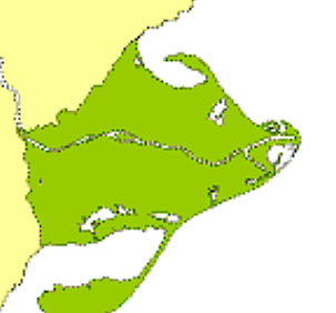 IGUAL AL DELTA ACTUAL