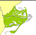Es reforça la nova desembocadura de l'est