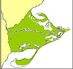 La desmbocadura avança molt