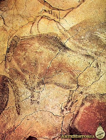 Bisonte. Cuevas de Altamira