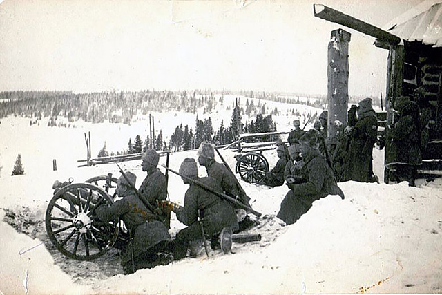 Воронежско-Поворинская операция (разгром Красной армией Донской армии П. Н. Краснова)