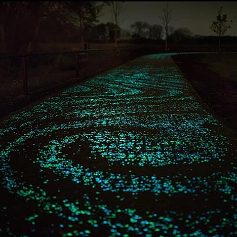 Gogh-Roosegaarde fietspad