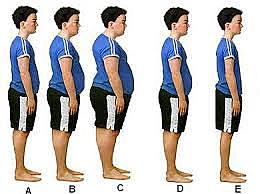 Transición alimentaria