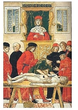 Primer paso de la Anatomía