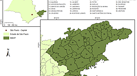 Timeline: HISTÓRICO RMVPLN