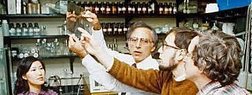 1983: descubrimiento del virus