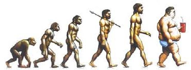 Transicion Alimentaria