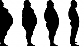 Timeline: Fases de la obesidad