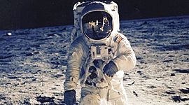 Timeline: Carlos, Fernando y Arturo