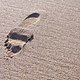 Huella en la arena it treads in the sand 1311311