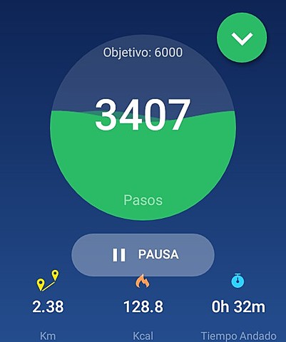 Día 6 pasos