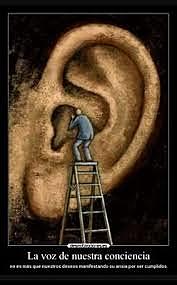 Homeostasis, bioenergética y temperatura