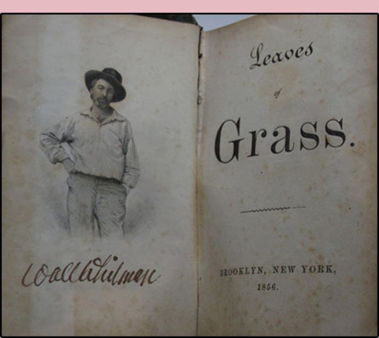 Leaves of Grass 1st Edition