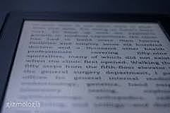 Primer libro digital