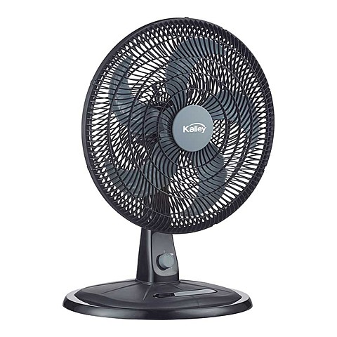 fan