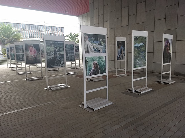 Tercera Itinerancia Expo Trans Delirante