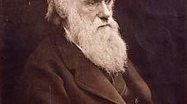 Timeline: VIDA, OBRA Y LEGADO DE DARWIN.