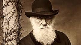 Timeline: Charles R. Darwin
