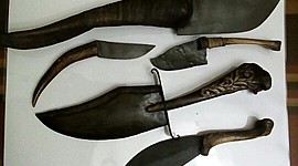 Timeline: Piedra y Hueso