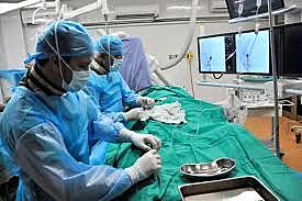 AVANCE DE LA MEDICINA AÑO 2004