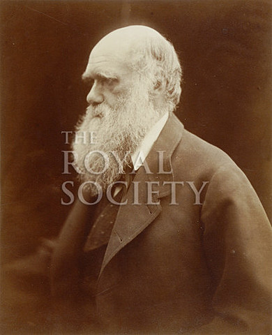 Royal Society