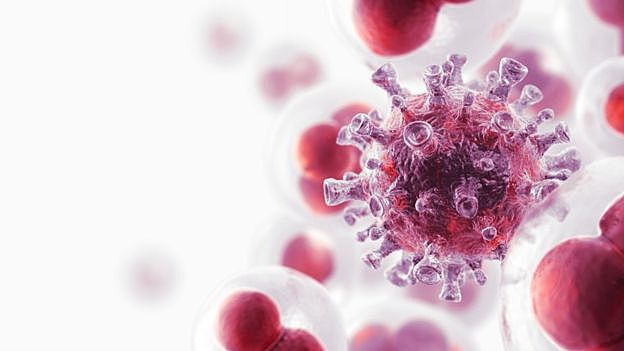 8 avances médicos que impactaron en 2018