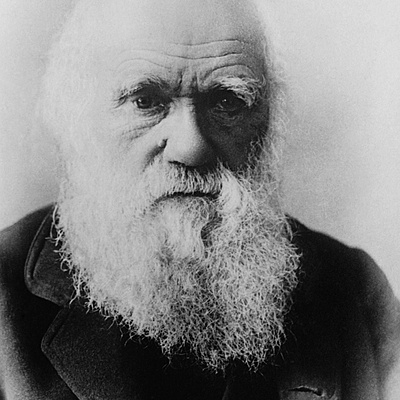 Timeline: Darwins Observations