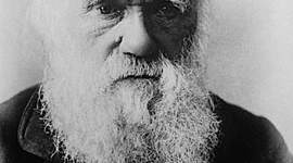 Timeline: Darwins Observations