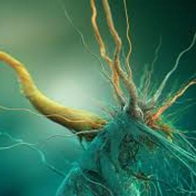 Timeline: Historia de las redes neuronales artificiales