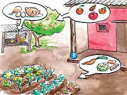 Practicas Alimentarias Adecuadas