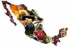 Política Nacional de Seguridad Alimentaria