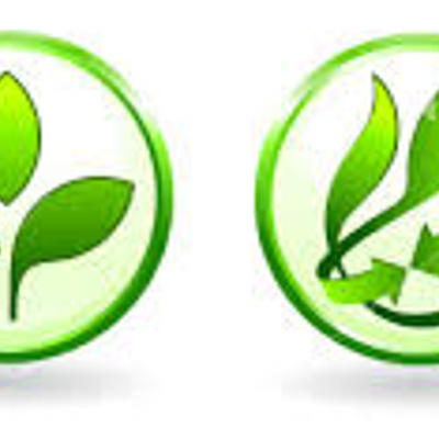 Timeline: Historia de la gestión ambiental