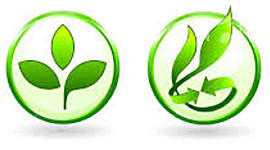 Timeline: Historia de la gestión ambiental