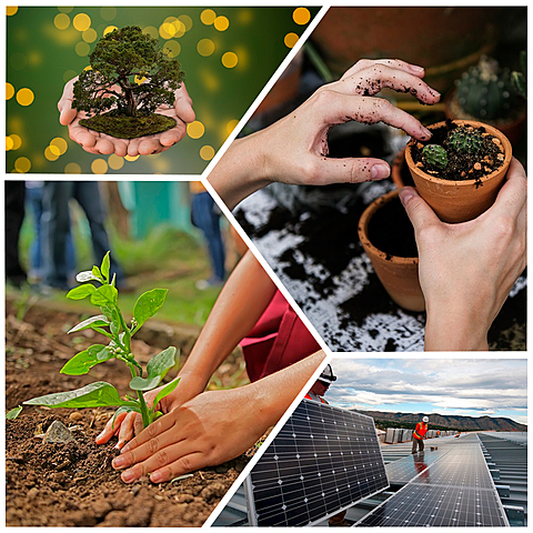 El génesis de la gestión ambiental