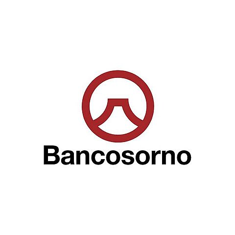 manual de normas básicas banco osorno