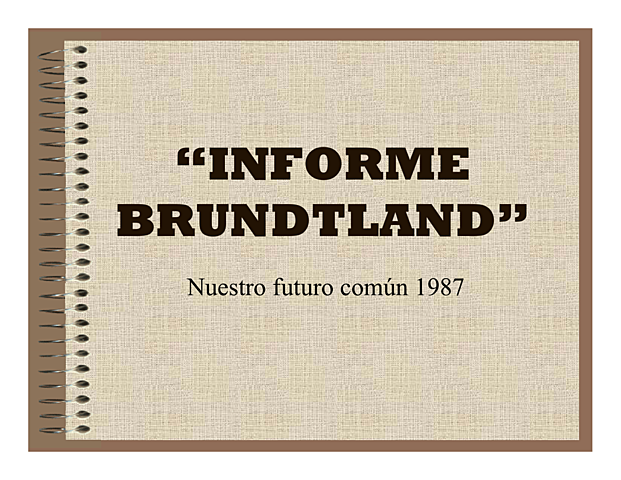 Informe Brundtland