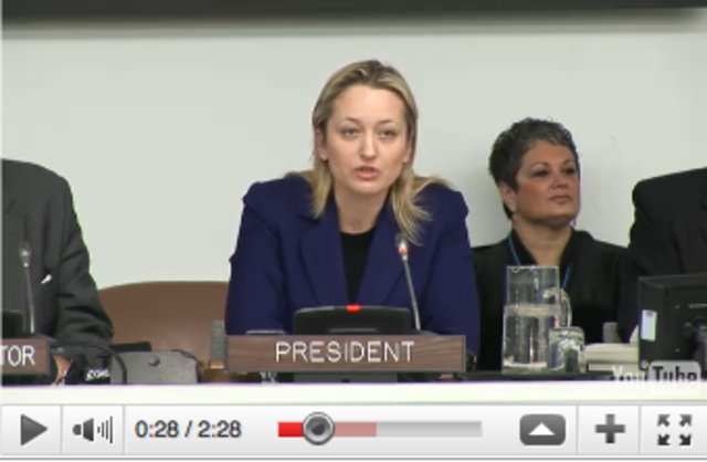 UNICEF Executive Board begins first regular session of 2011