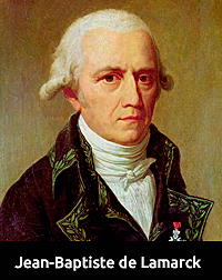 LEYES DE LAMARCK