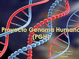 Se completa el primer borrador del genoma humano.