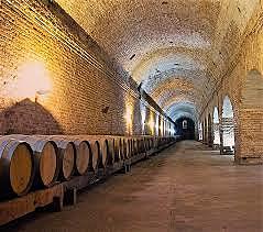 Cousiño Macul encargó al taller litográfico de Pedro Cadot un impreso para sus productos