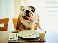 Manners for Life (four months and older)