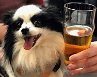 Pups and Pints!
